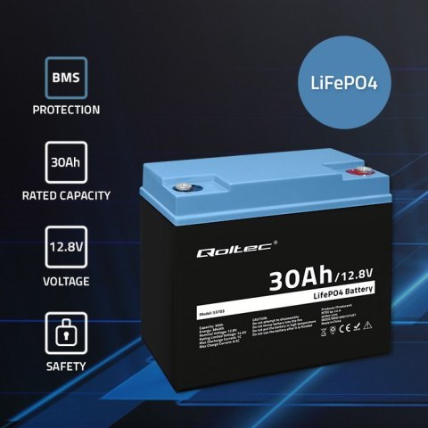Akumulator LiFePO4 Litowo-Żelazowo-Fosforanowy | 12.8V | 30Ah | 384Wh | BMS