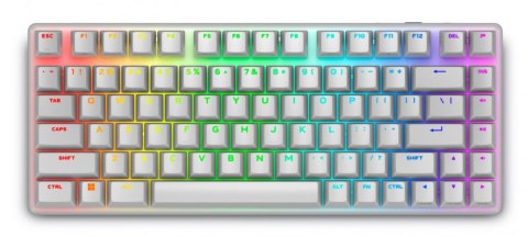 Klawiatura bezprzewodowa Alienware Pro US QWERTY Lunar Light Klawiatura bezprzewodowa Alienware Pro US QWERTY Lunar Light