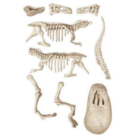Zestaw Skamieniałości - T-Rex Zestaw Skamieniałości - T-Rex