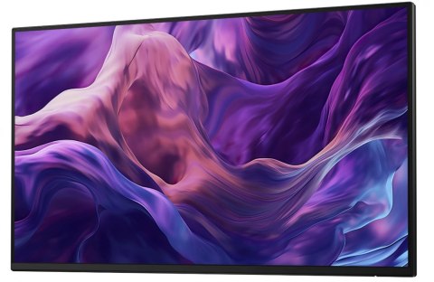 Monitor 23.8 cala P2425HEWO IPS 1920x1080/16:9/HDMI/DP/USBC/RJ45/USB/No stand/3Y Monitor 23.8 cala P2425HEWO IPS 1920x1080/16:9/HDMI/DP/USBC/RJ45/USB/No stand/3Y