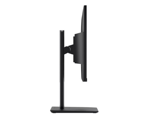 Monitor PRO MP251P 24.5 cala/LED/FHD/Flat/100Hz/Czarny
