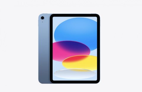 IPad WiFi + Cellular 11 cali 256 GB Niebieski IPad WiFi + Cellular 11 cali 256 GB Niebieski