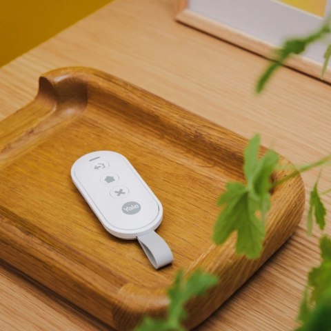 Pilot do Smart Alarm Hub Pilot do Smart Alarm Hub