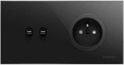 Gniadko typ F SOCKET+SWITCH czarny Grenton Gniadko typ F SOCKET+SWITCH czarny Grenton