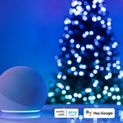 Inteligentne lampki choinkowe Strings 100 LED RGB 8 m łańcuch Inteligentne lampki choinkowe Strings 100 LED RGB 8 m łańcuch