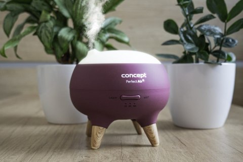 Dyfuzor zapachu Concept Perfect Air Berry DF1011 Dyfuzor zapachu Concept Perfect Air Berry DF1011