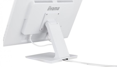 Monitor 24 cale T2452MSC-W1 10 PKT. POJ,IPS,HDMI,DP Monitor 24 cale T2452MSC-W1 10 PKT. POJ,IPS,HDMI,DP