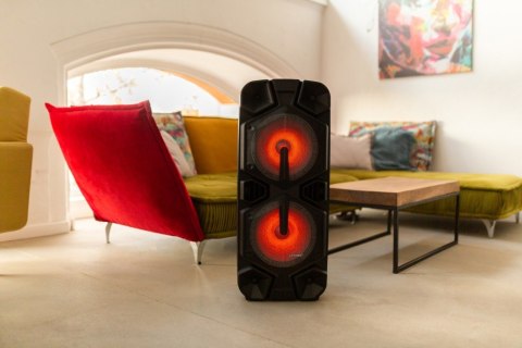 Głośnik APA24 system audio Bluetooth Karaoke Głośnik APA24 system audio Bluetooth Karaoke