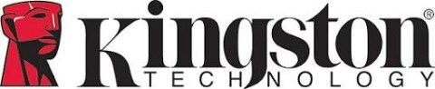 Karta pamięci microSD Kingston Canvas Go Plus microSDXC C10 UHS-I 256GB