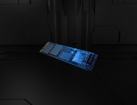 Dysk SSD Renegade G5 1TB NVMe 5.0 M.2 2280 14200/11000MB/s Dysk SSD Renegade G5 1TB NVMe 5.0 M.2 2280 14200/11000MB/s