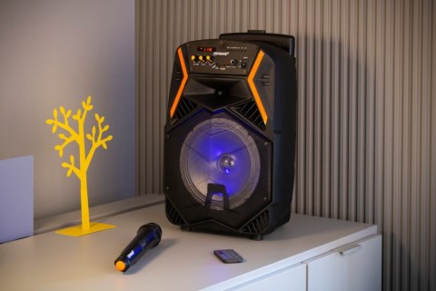 Głośnik APS22 system audio Bluetooth Karaoke Głośnik APS22 system audio Bluetooth Karaoke