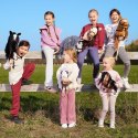 Koń na kiju Hobby Horse HOPPIHORSE A3 Chestnut - brąz, maść kasztanowata Koń na kiju Hobby Horse HOPPIHORSE A3 Chestnut - brąz, maść kasztanowata