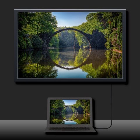 Kabel DisplayPort v1.2 męski | DisplayPort v1.2 męski | 4K |3m Kabel DisplayPort v1.2 męski | DisplayPort v1.2 męski | 4K |3m