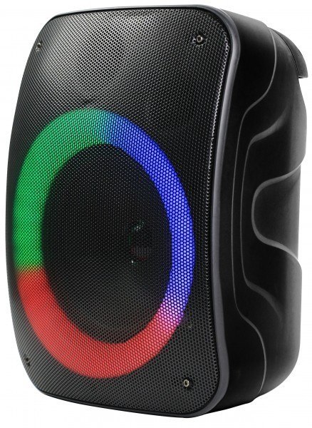 Głośnik Bluetooth STAGE 300 Głośnik Bluetooth STAGE 300
