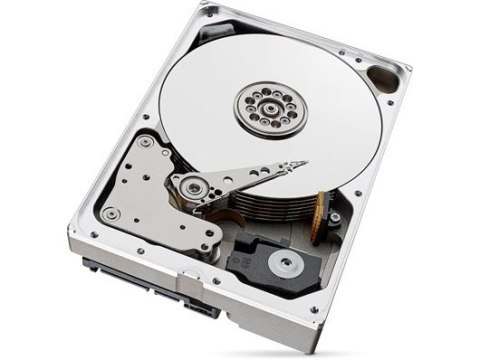Dysk SkyHawkAI 10TB 3,5 256MB ST10000VE001 Dysk SkyHawkAI 10TB 3,5 256MB ST10000VE001