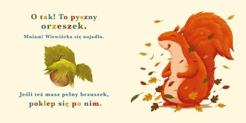 Książeczka Rok w lesie. Wiewiórka Książeczka Rok w lesie. Wiewiórka
