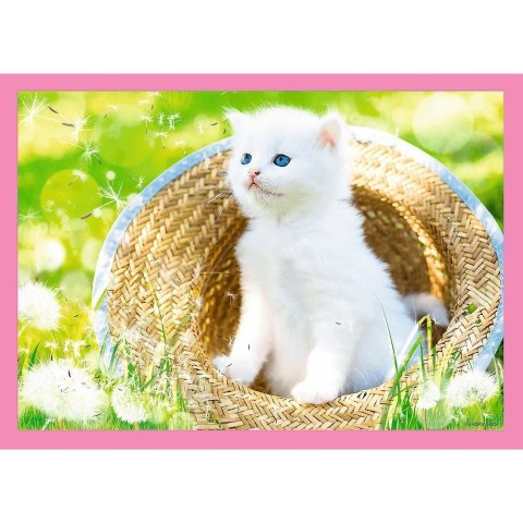 Puzzle 4w1 Zabawne kotki Puzzle 4w1 Zabawne kotki