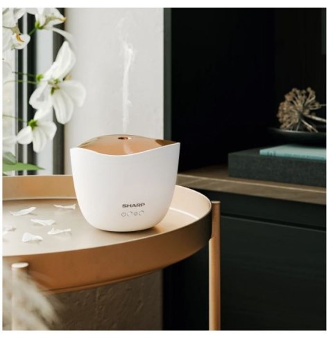 Aromatyzer powietrza DF-A1E-W