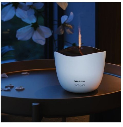 Aromatyzer powietrza DF-A1E-W