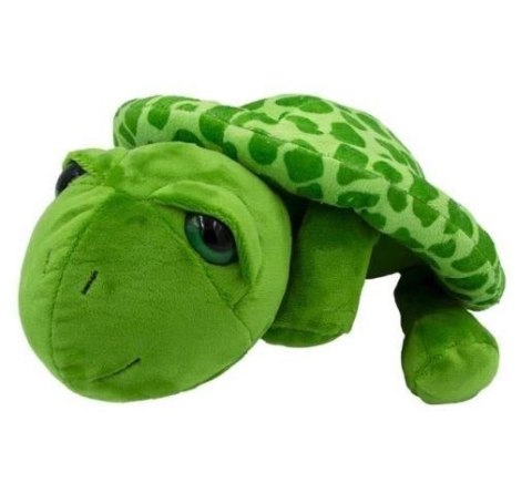 Maskotka Żółw Albert 25 cm Maskotka Żółw Albert 25 cm