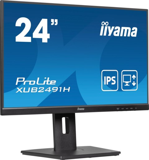 Monitor LED IIYAMA XUB2491H-B1