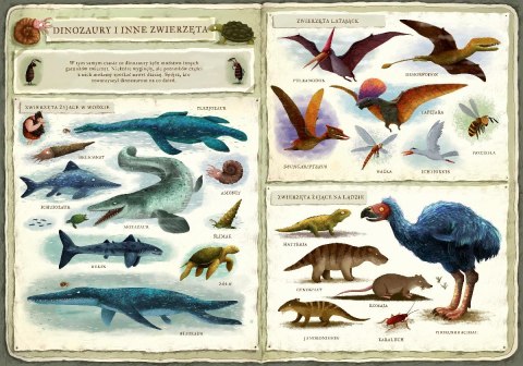 Książeczka Opowiem ci, mamo, co robią dinozaury Książeczka Opowiem ci, mamo, co robią dinozaury
