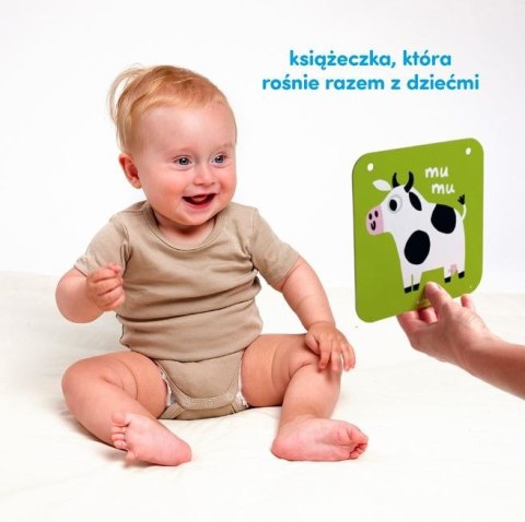 Duże karty kontrastowe dla dzieci 6 i 9 mies.+ Duże karty kontrastowe dla dzieci 6 i 9 mies.+