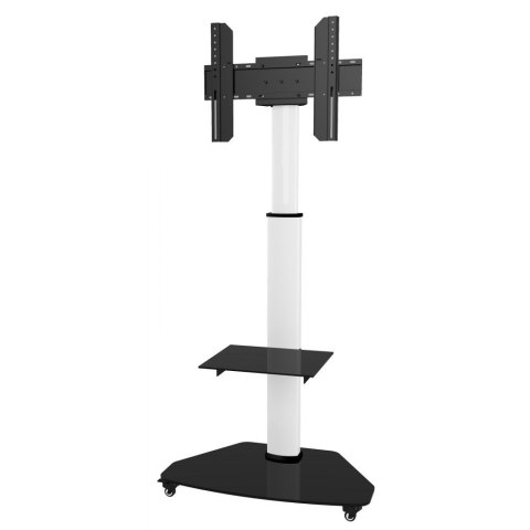 Stojak mobilny do tv 37-70 cali 40kg Pivot Stojak mobilny do tv 37-70 cali 40kg Pivot