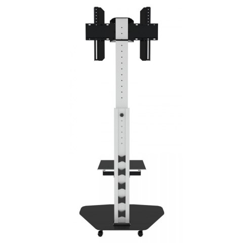 Stojak mobilny do tv 37-70 cali 40kg Pivot Stojak mobilny do tv 37-70 cali 40kg Pivot